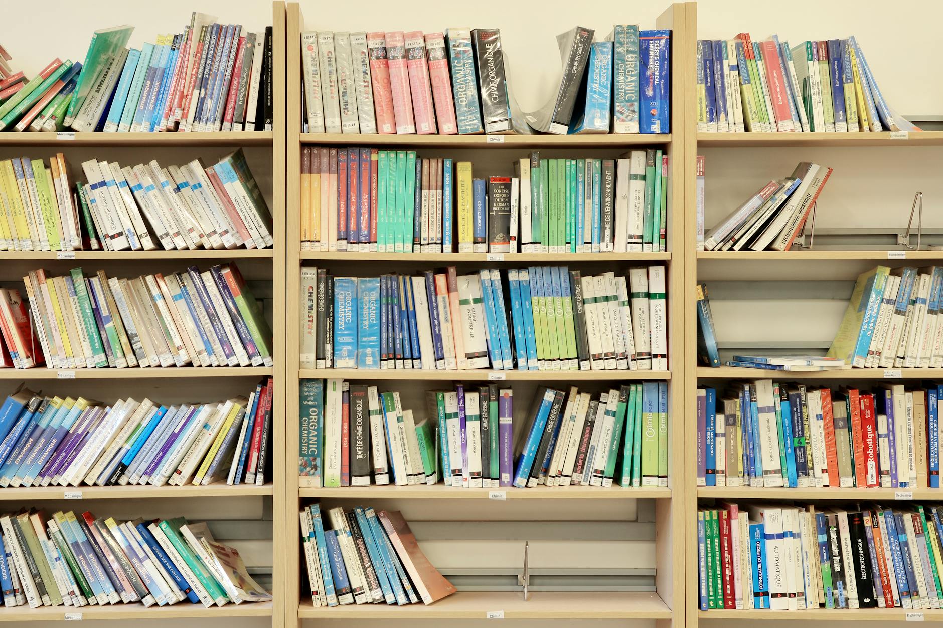 The Best Free Homeschool Resources We Actually Use (Updated for 2026)